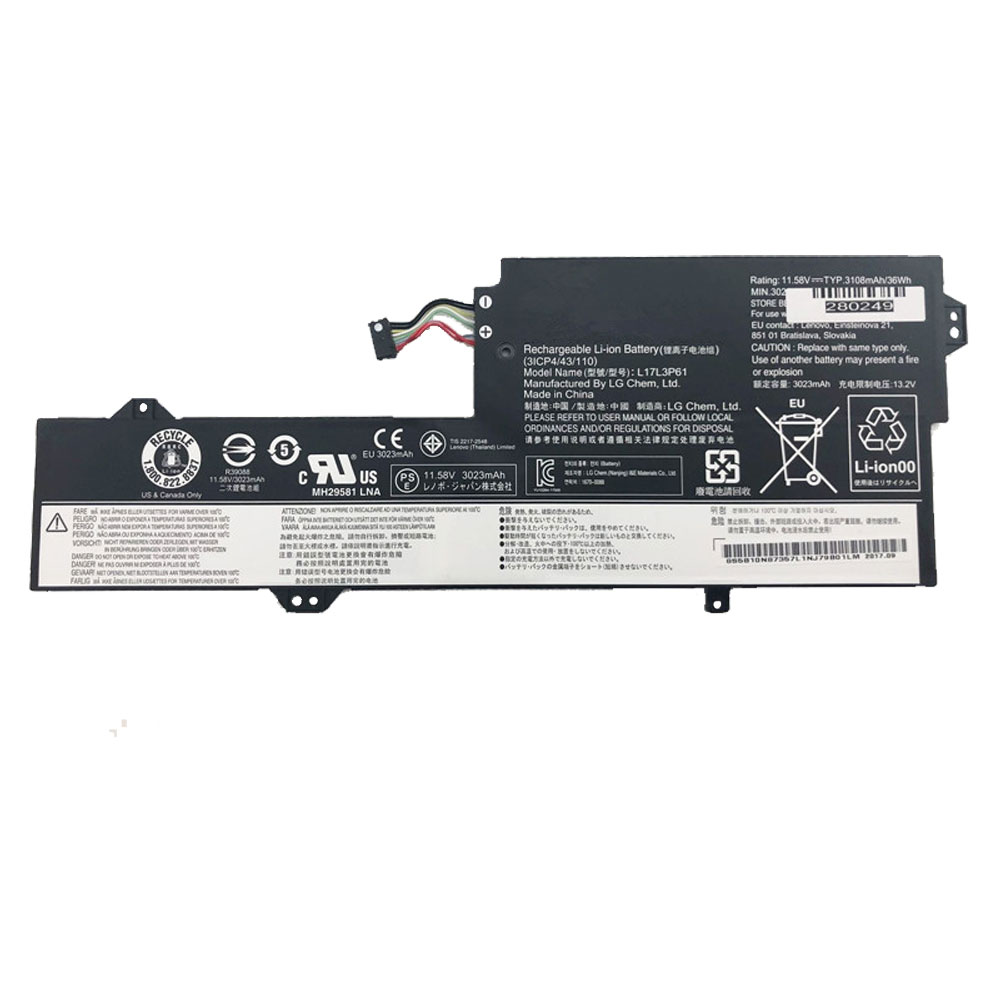 L17M3P61